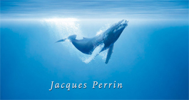 Das Cover des Films "Unsere Ozeane"