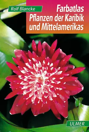 Buchcover des Buchs Pflanzen der Karibik und Mittelamerikas