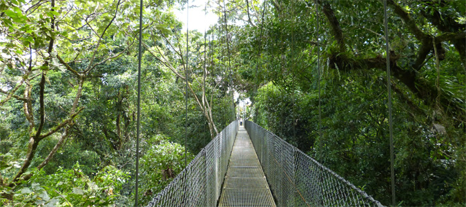Eine Hängebrücke, die durch das Dickicht des Urwalds am Vulkan Arenal führt