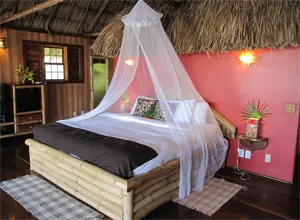 Bild von einem Zimmer des Portofino Resort in Belize: Man sieht ein Himmelbett in einem karibisch eingerichtetem Zimmer.