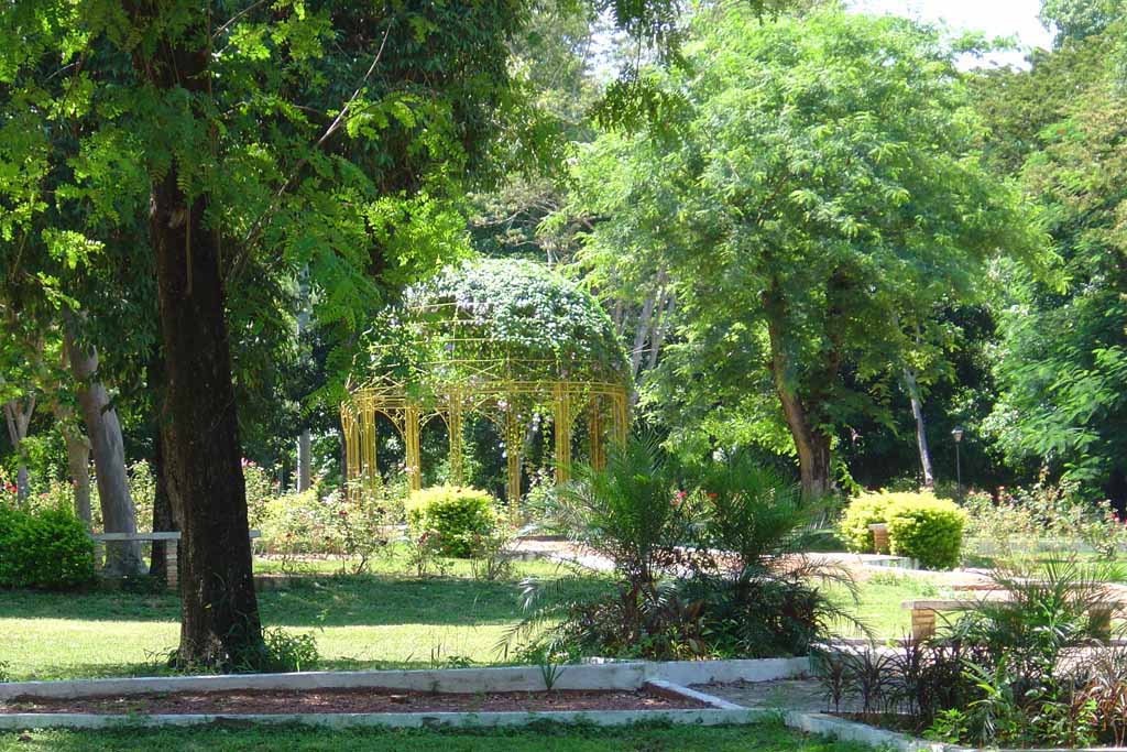 Hier sehen Sie den Botanischen Garten in Asuncion, Paraguay