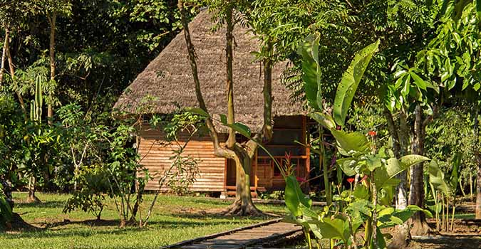 Sani Lodge im Amazonas Regewnald