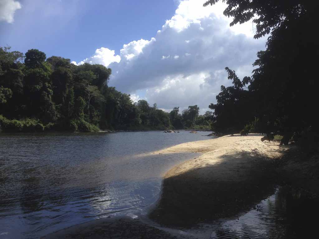 Fluss im Hinterland von Suriname