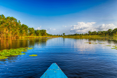 Ein Boot fährt in Suriname auf einem breiten Fluss. Die Sonne scheint, rechts und links sind dichte Urwälder zu sehen