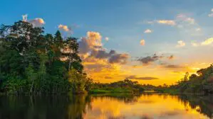 Die Sehensüwrdigkeit in Suriname ist der Regenwald. Hier auf dem bild ein Fluss und Sonnenuntergang.