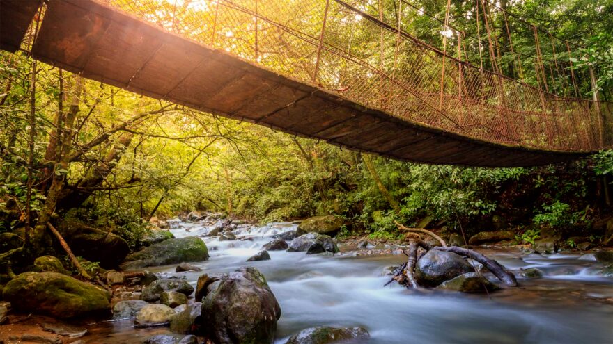 Ein Bild aus einem Nationalpark in Costa Rica. Eine Hängebrücke im Regenwald führt über einen kleinen, wilden Fluss.