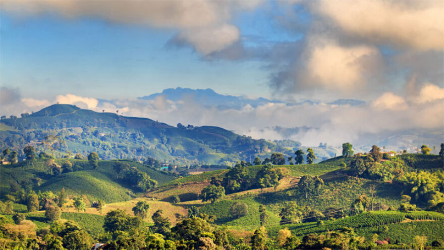Blick über die verwunschene Landschaft der Kaffeezone Zona Cafetera in Kolumbien. Grüne Hügel auf den vereinzelt Bäume stehen, blauer Himmel, der nur von ein paar wenigen dunklen Wolken bedeckt ist.